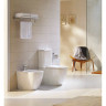 Бачок BELBAGNO ALPINA