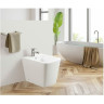 Биде напольное BELBAGNO ARDENTE-R