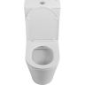 Чаша унитаза BELBAGNO FLAY-R BB2149CPR/SC безободкового с сиденьем дюропласт soft close P-trap