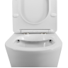 Чаша унитаза BELBAGNO FLAY-R BB2149CPR/SC безободкового с сиденьем дюропласт soft close P-trap