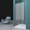 Душевая дверь BELBAGNO