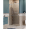 Душевая дверь BELBAGNO SOFT_CLOSE-2-BF-1-100-C-Cr