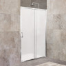 Душевая дверь BELBAGNO