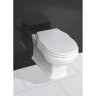 Подвесной безободковый унитаз BELBAGNO BOHEME BB115CH