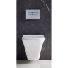 Подвесной безободковый унитаз BELBAGNO MARMI BB052CHR
