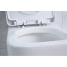 Подвесной безободковый унитаз BELBAGNO VENETO BB132CHR