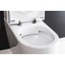 Приставной безободковый унитаз BELBAGNO MARINO BB105CBR