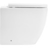 Приставной безободковый унитаз BELBAGNO MARINO BB105CBR