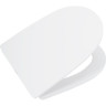 Сиденье для унитаза с микролифтом BELBAGNO BB045/051SC
