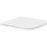 Сиденье для унитаза с микролифтом BELBAGNO MARMI BB2322SC
