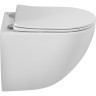 Унитаз подвесной BELBAGNO AMANDA BB051CH-TOR-FC/SC