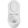 Унитаз подвесной BELBAGNO AMANDA BB051CH-TOR-FC/SC