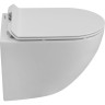 Унитаз подвесной безободковый BELBAGNO AMANDA-TOR BB051CH-TOR-FC/BB2011SC