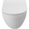 Унитаз подвесной безободковый BELBAGNO AMANDA-TOR BB051CH-TOR-FC/BB2011SC