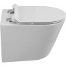 Унитаз подвесной безободковый BELBAGNO FLAY-TOR BB053CH-TOR-FC/BB2111SC