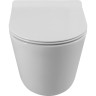 Унитаз подвесной безободковый BELBAGNO FLAY-TOR BB053CH-TOR-FC/BB2111SC