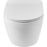 Унитаз подвесной безободковый BELBAGNO SFERA-R BB046CHR/BB902SC