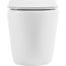 Унитаз приставной BELBAGNO BB2141CBR/BB105SC