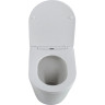 Унитаз приставной BELBAGNO FLAY-R BB1003CBR/SC
