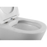 Унитаз приставной BELBAGNO FLAY-R BB1003CBR/SC