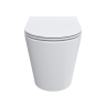 Унитаз приставной BELBAGNO FLAY-TOR BB1003CB-TOR/SC безободковый с сиденьем дюропласт soft close