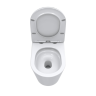 Унитаз приставной BELBAGNO FLAY-TOR BB1003CB-TOR/SC безободковый с сиденьем дюропласт soft close