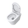 Унитаз приставной BELBAGNO FLAY-TOR BB1003CB-TOR/SC безободковый с сиденьем дюропласт soft close