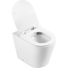 Унитаз приставной безободковый BELBAGNO BB1003CBR/BB870SC