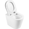 Унитаз приставной безободковый BELBAGNO BB1003CBR/BB870SC