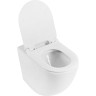 Унитаз приставной безободковый BELBAGNO BB2141CBR/BB870SC